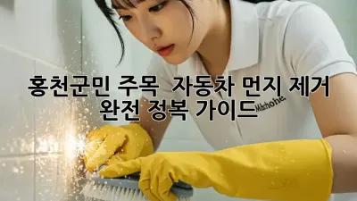 홍천군민 주목! ✨ 자동차 먼지 제거 완전 정복 가이드 🚗💨